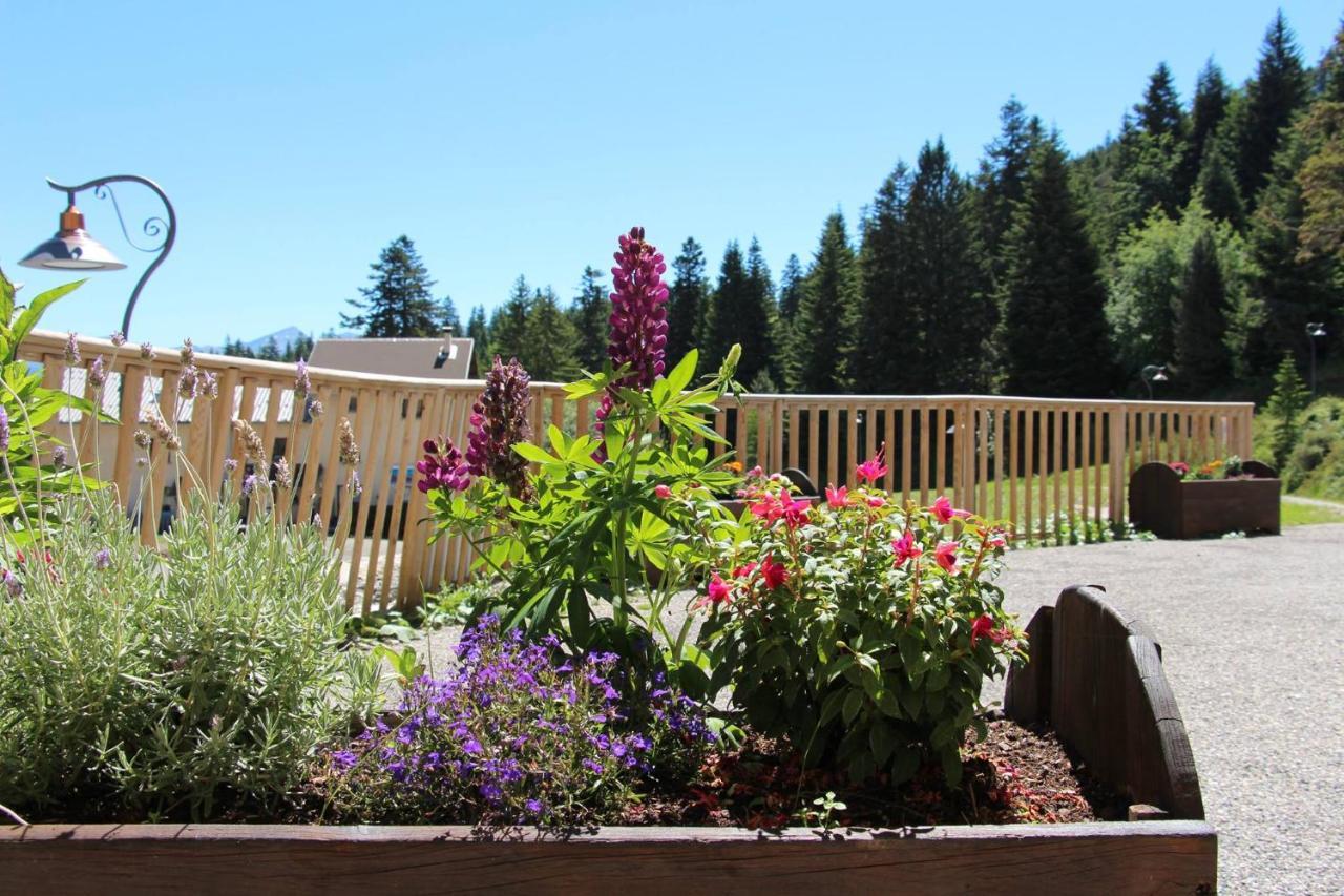 Les Blanches Provencales Bed & Breakfast Selonnet Екстериор снимка